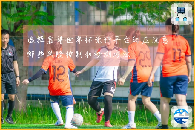 选择靠谱世界杯竞猜平台时应注意哪些风险控制和检测方法
