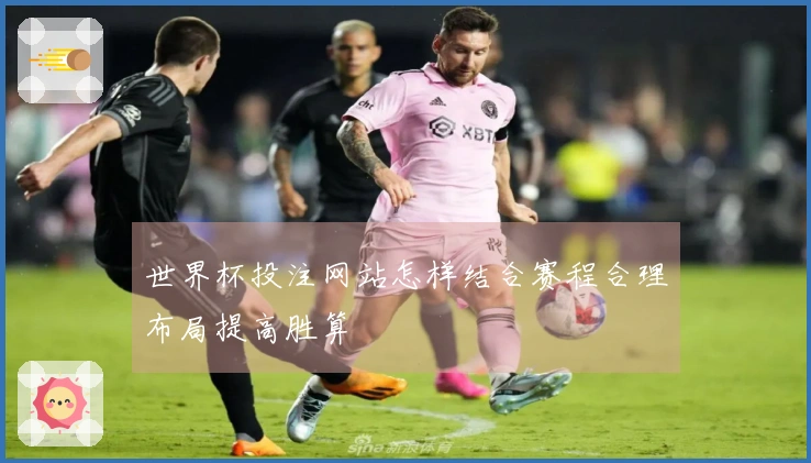 世界杯投注网站怎样结合赛程合理布局提高胜算